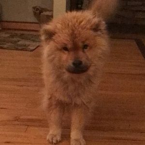 Meet your Posher, Hallie